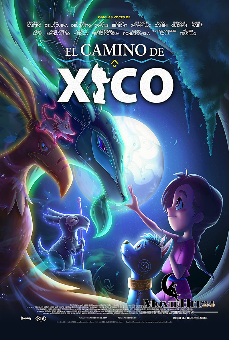 ดูหนังออนไลน์ ดูหนังออนไลน์ Xico’s Journey 2020 ฮีโกผจญภัย