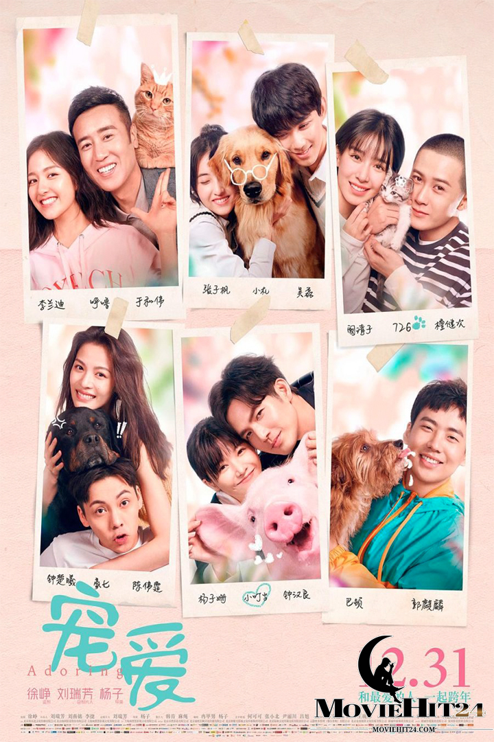 ดูหนังออนไลน์ฟรี ดูหนังออนไลน์ Adoring 2019 ด้วยรัก