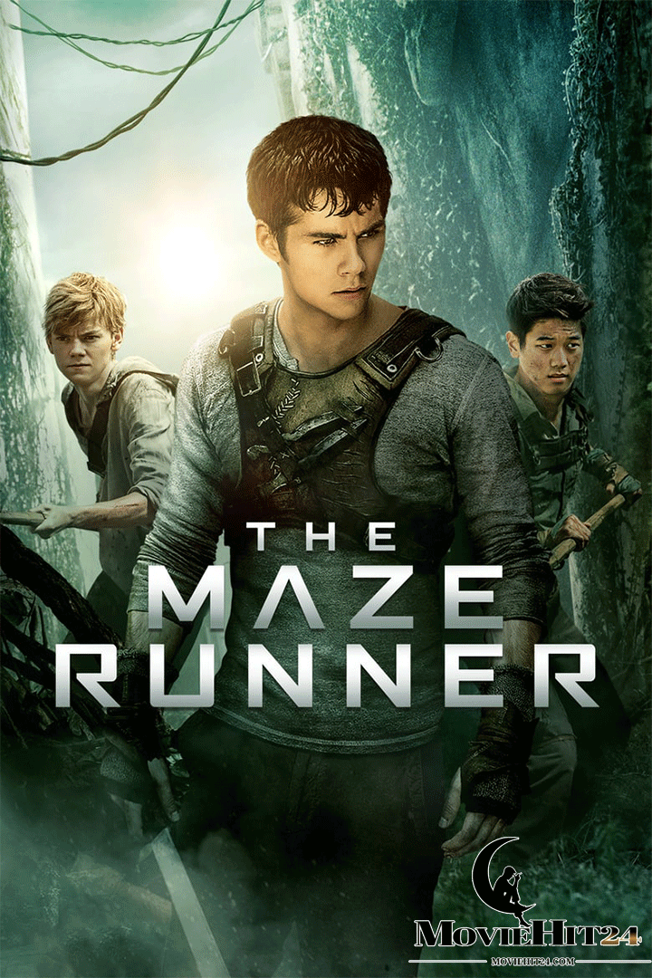 ดูหนังออนไลน์ ดูหนังออนไลน์ The Maze Runner 2014 วงกตมฤตยู