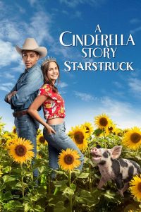 ดูหนังออนไลน์ ดูหนังออนไลน์ A CINDERELLA STORY STARSTRUCK 2021