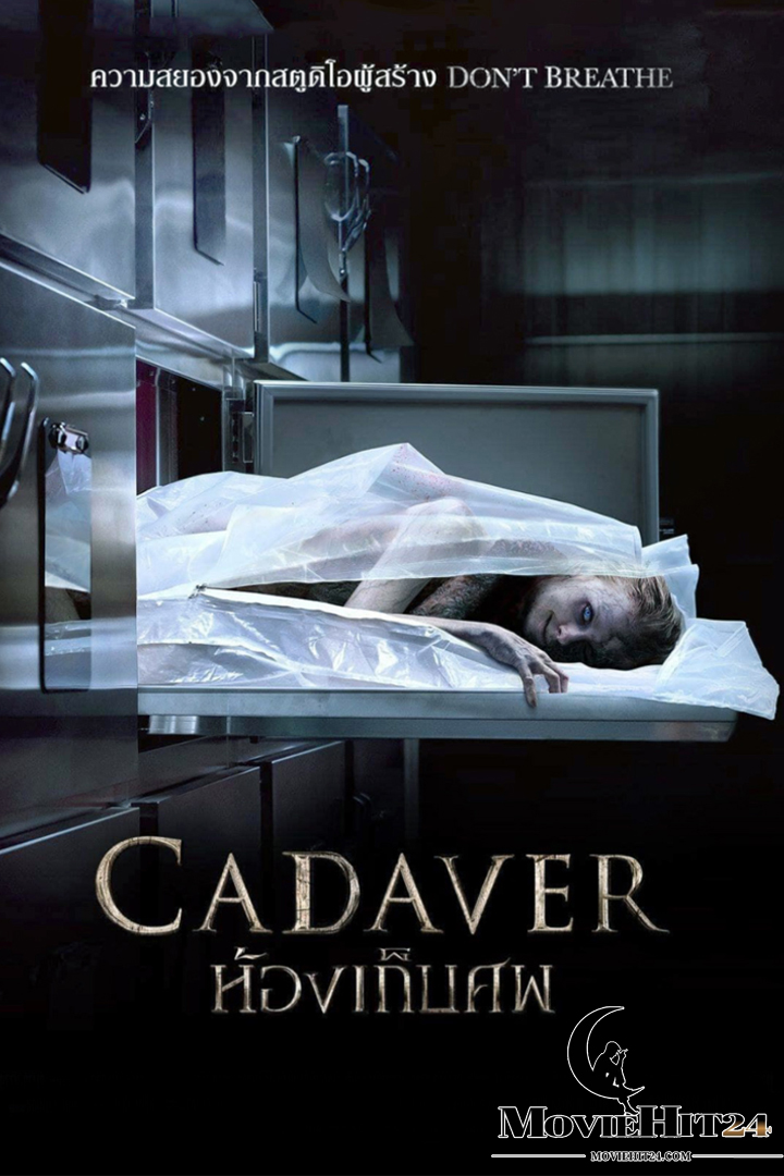 ดูหนังออนไลน์ ดูหนังออนไลน์ใหม่ Cadaver 2019 ห้องเก็บศพ