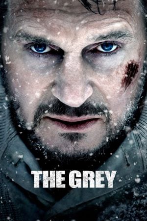 ดูหนังออนไลน์ The Grey (2011) ฝ่าฝูงเขี้ยวสยองโลก